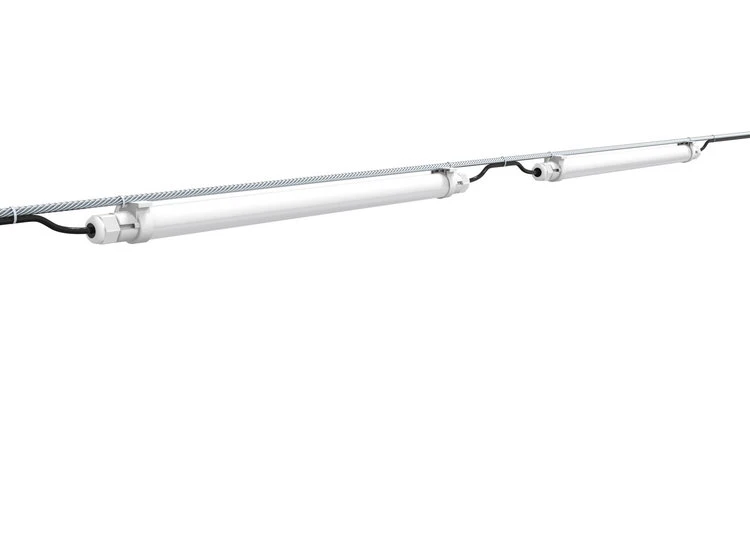 best light for chicken coop
