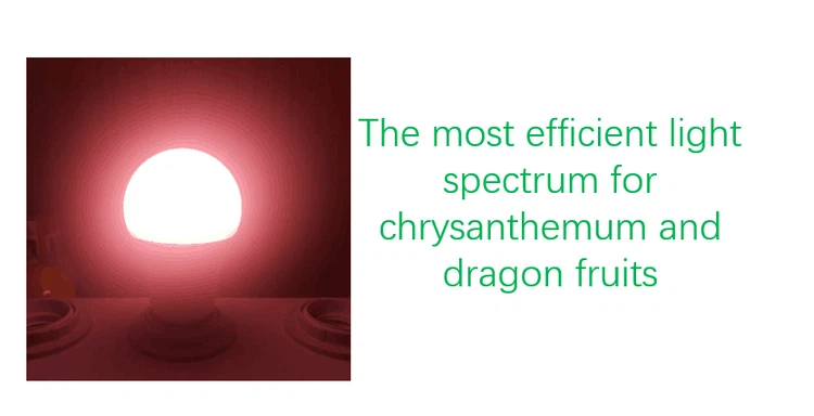 product-833-427 product-833-427