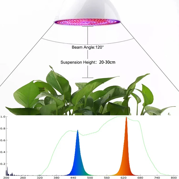E27 Spot Grow Lights 1 E27 Spot Grow Lights 1