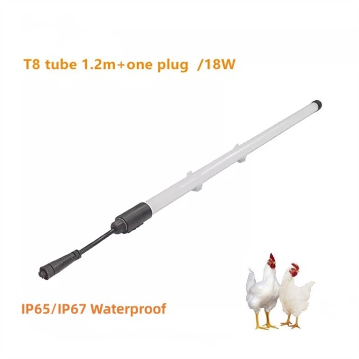 led lights for chicken houses