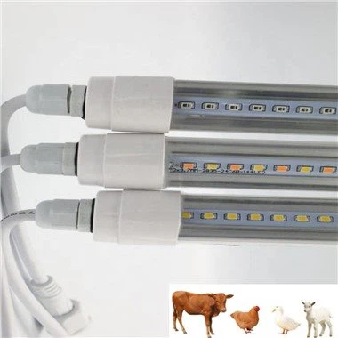 Lampu Ayam untuk Reban