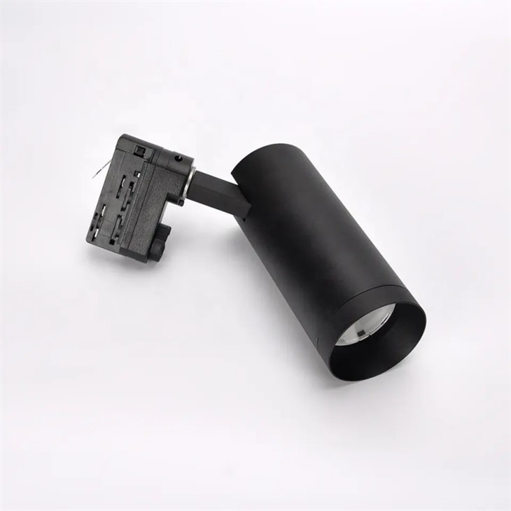 Black Track Light Fixture