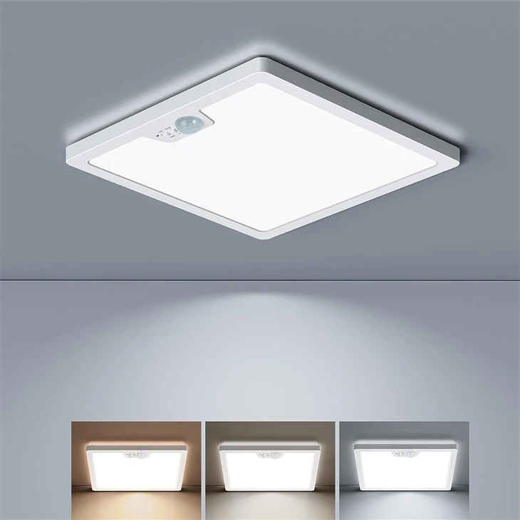 Flush Mount Ceiling Light