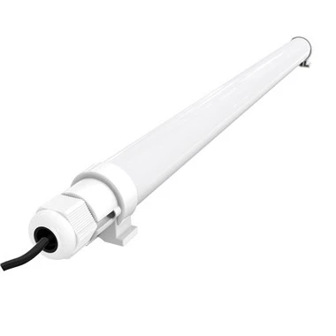 Lampu Kandang Lembu