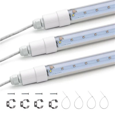 Tomato Tumbuh Cahaya