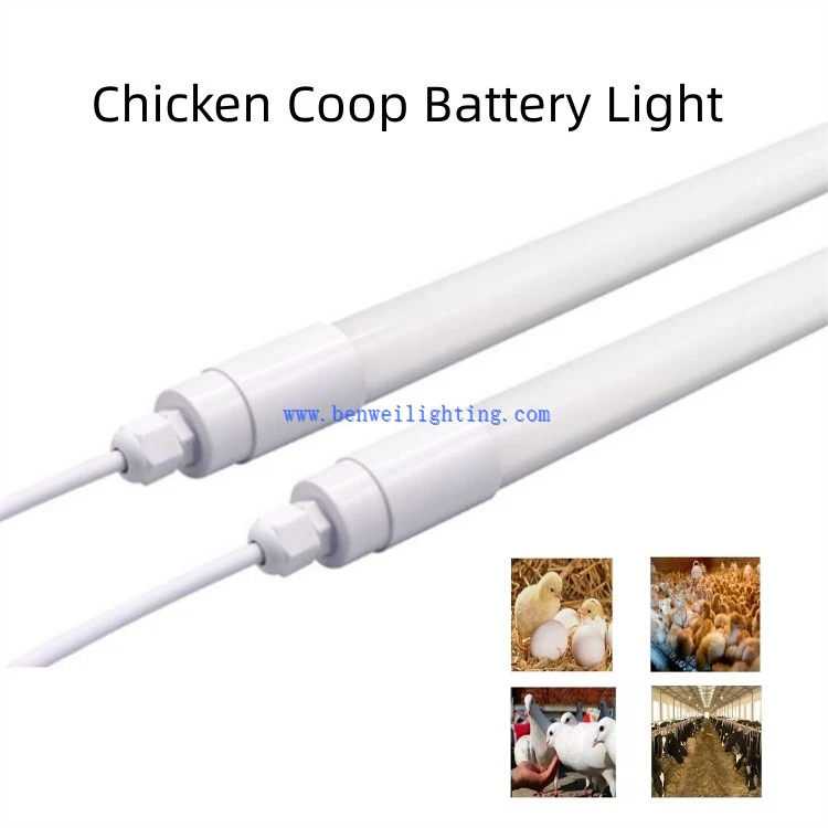0-12V Dimmable 3600K 12W Chicken Light