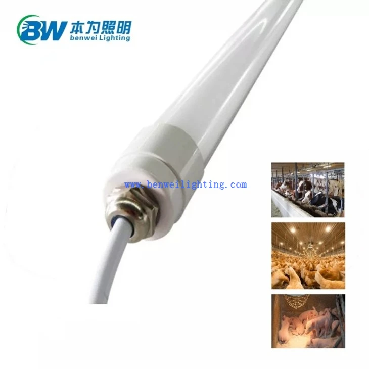 Chicken Light With 0-10V 3500K 15W