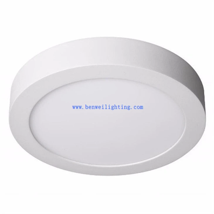 Disk-Shaped LED Light (2)