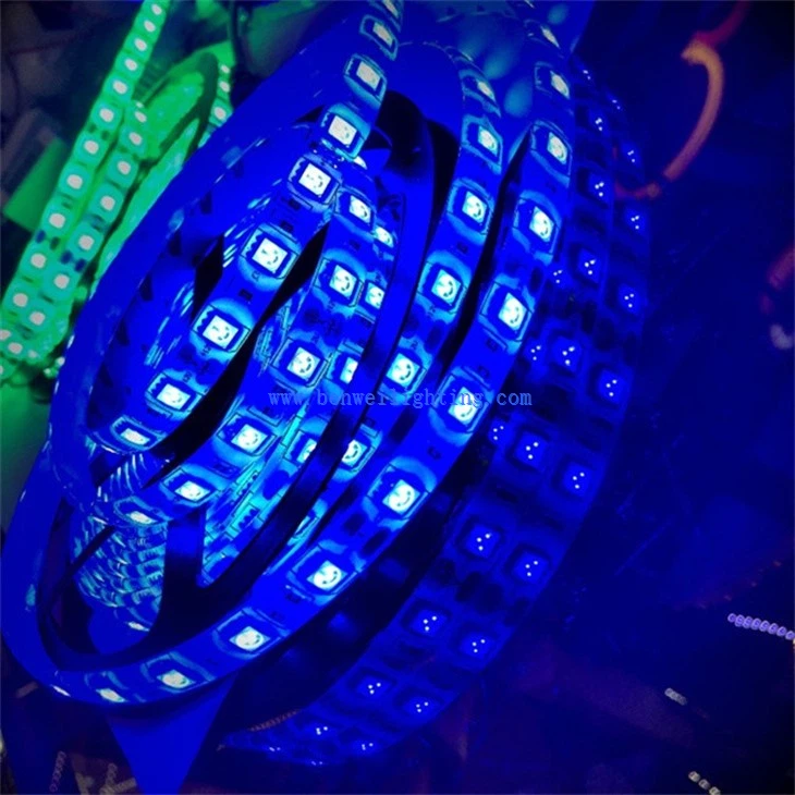 Dynamic RGB LED Strip Light (3)