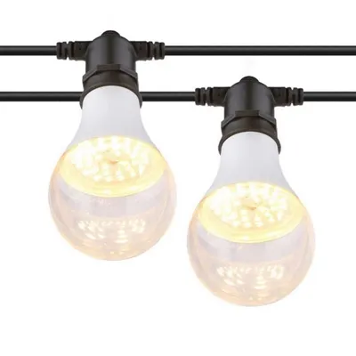 Mengapa lampu tumbuh LED adalah pilihan terbaik untuk tumbuhan di dalamnya