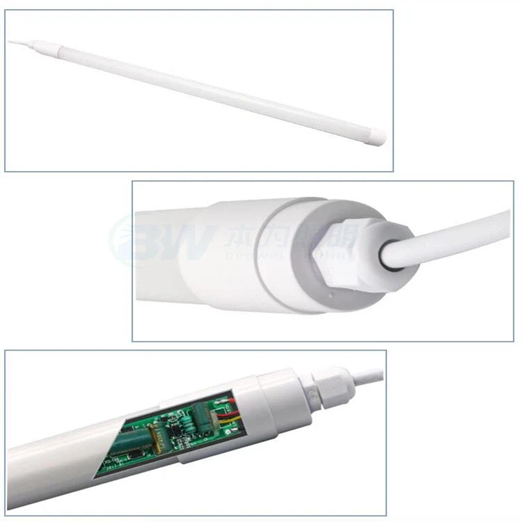 Egg Incubator Light 5