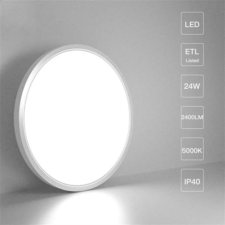LED Mount Ceiling Light
