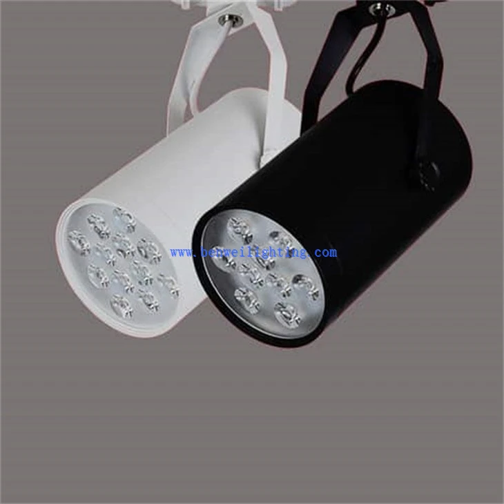 Movable Track Light (3)