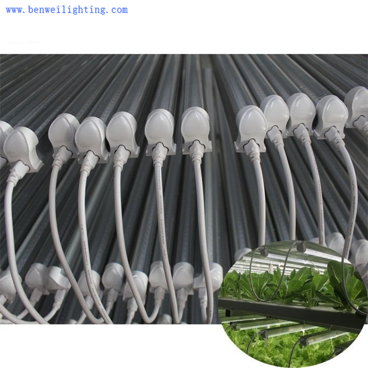 full spectrum led grow lights