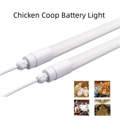 Lampu LED 9W untuk ayam