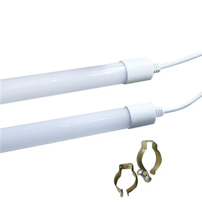 Lampu Penternakan Lembu
